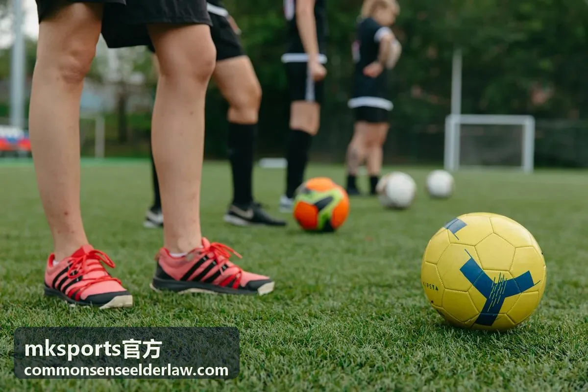mksports官方数据服务栏目封面