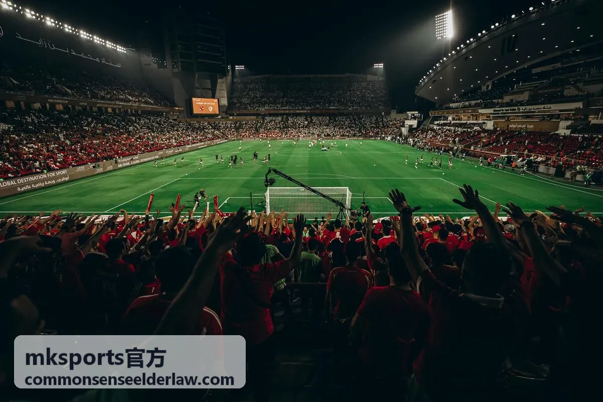 mksports官方常见问题栏目配图