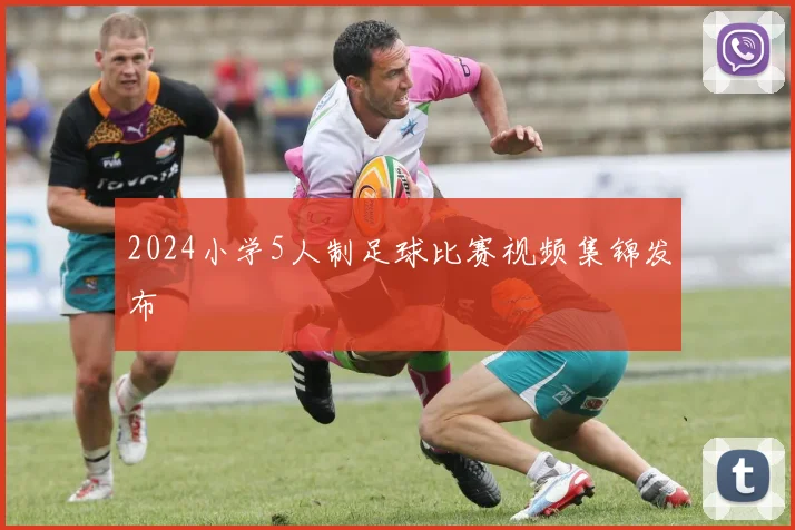 2024小学5人制足球比赛视频集锦发布