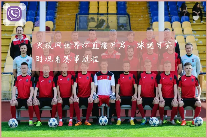 央视网世界杯直播开启，球迷可实时观看赛事进程