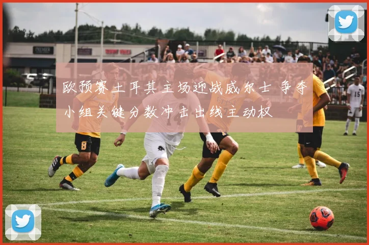 欧预赛土耳其主场迎战威尔士 争夺小组关键分数冲击出线主动权