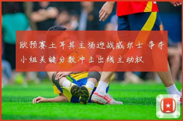 欧预赛土耳其主场迎战威尔士 争夺小组关键分数冲击出线主动权