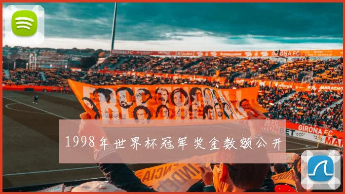 1998年世界杯冠军奖金数额公开