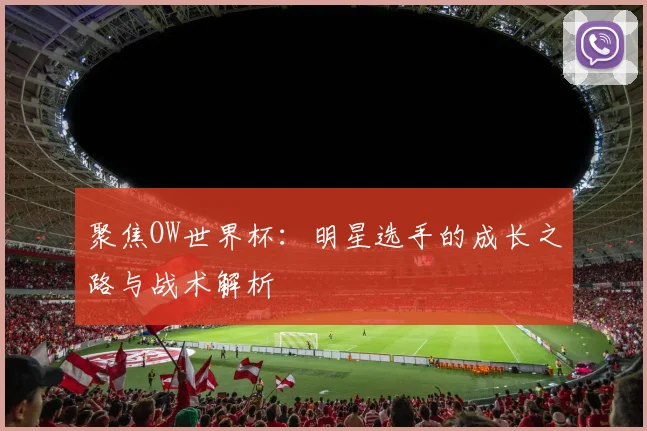 聚焦OW世界杯：明星选手的成长之路与战术解析