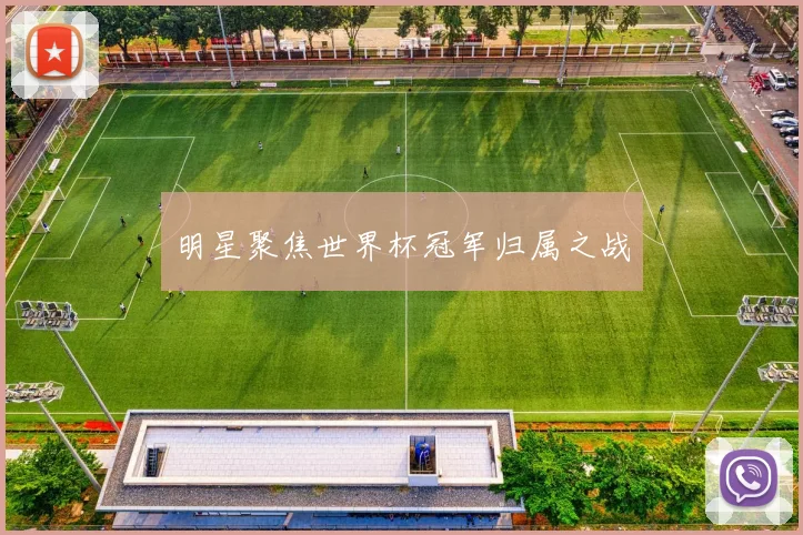 明星聚焦世界杯冠军归属之战