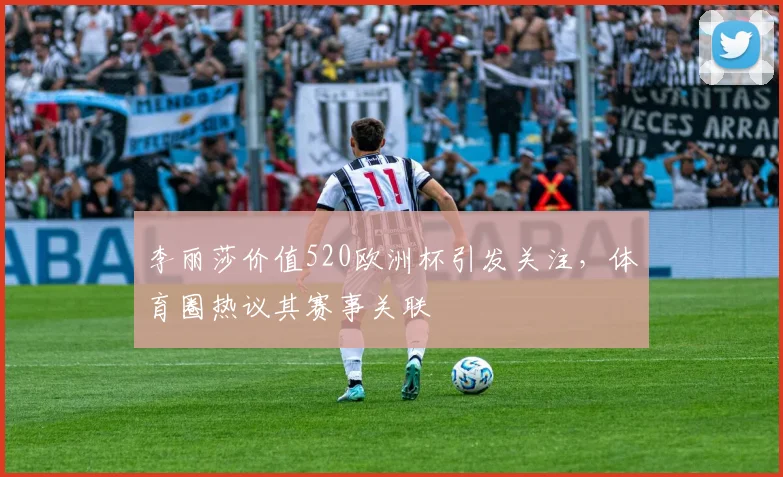 李丽莎价值520欧洲杯引发关注,体育圈热议其赛事关联