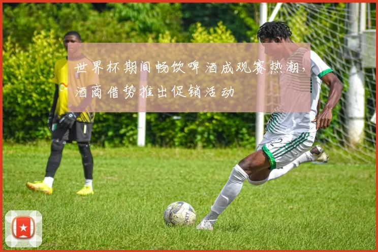 世界杯期间畅饮啤酒成观赛热潮，酒商借势推出促销活动