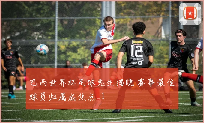 巴西世界杯足球先生揭晓 赛事最佳球员归属成焦点_1